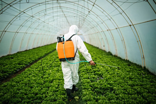 Best Pest Prevention Services  in Green Park, MO