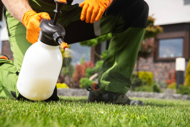 Best Pest Control for Businesses  in Green Park, MO