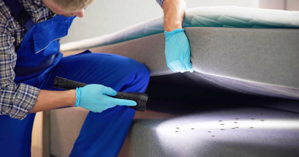 Pest Control Cost in Green Park, MO