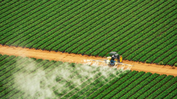 Best Termite Control Services  in Green Park, MO