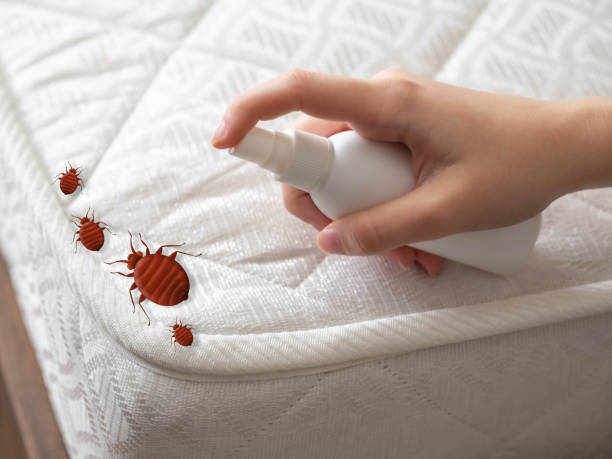 Best Commercial Pest Control Services  in Green Park, MO