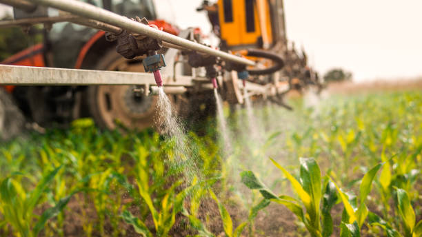 Best Mosquito Control Services  in Green Park, MO